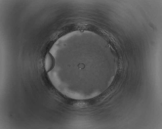 X0000116490759200912292105