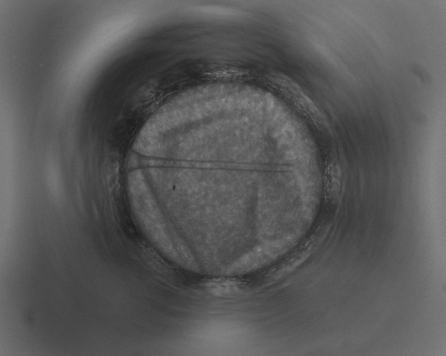 X0000116490762200912292105