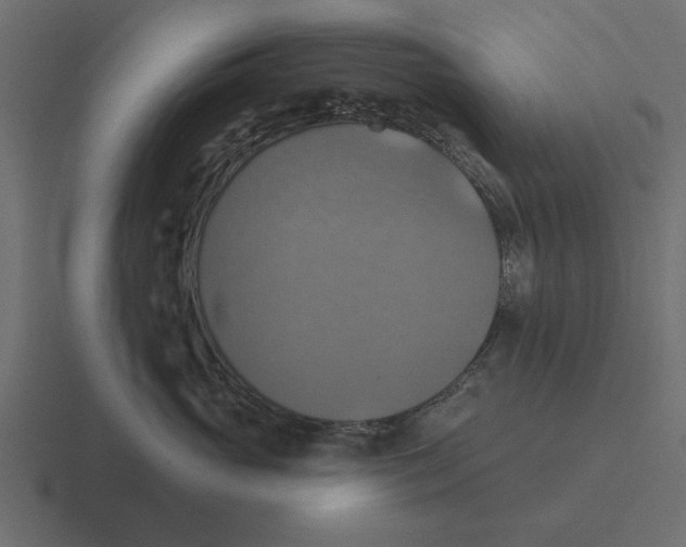 X0000116490765200912292105