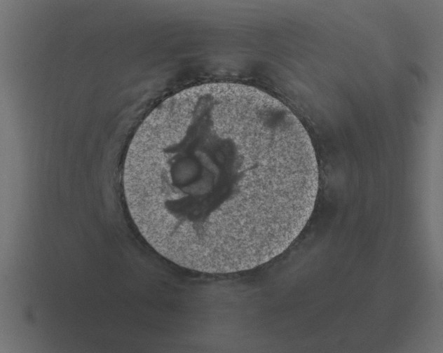 X0000116490769200912292105