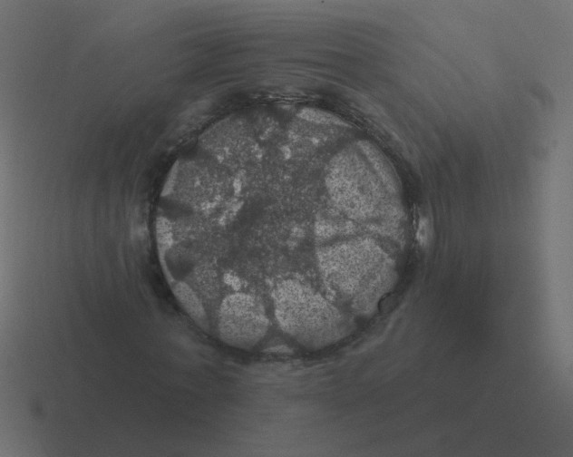 X0000116490771200912292105