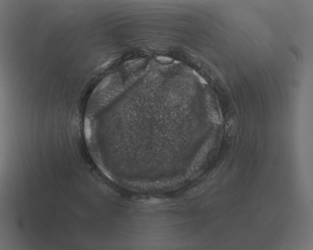 X0000116490772200912292105