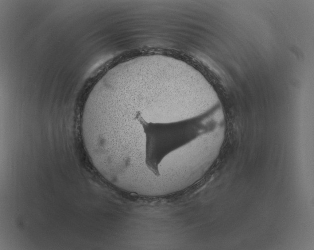 X0000116490775200912292105