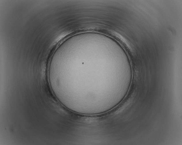 X0000116490778200912292105