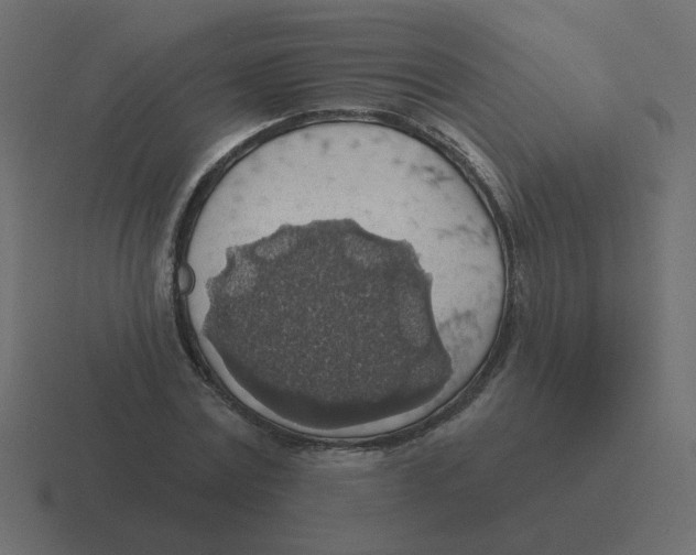 X0000116490779200912292105