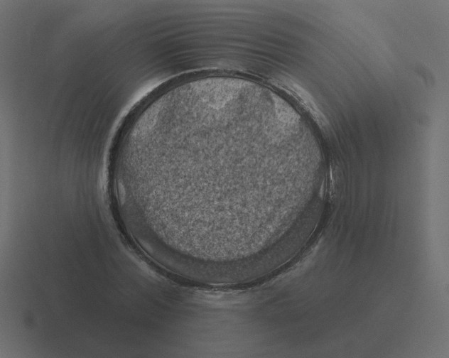 X0000116490780200912292104