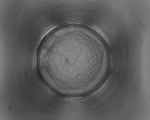 X0000116490782200912292104