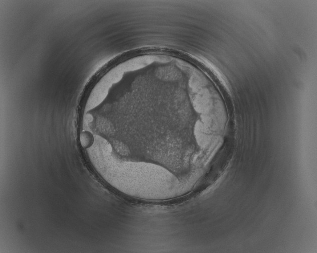 X0000116490783200912292104