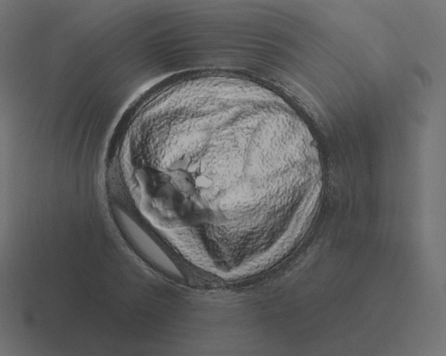 X0000116490784200912292104