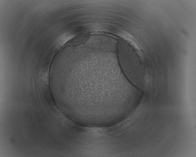 X0000116490785200912292104