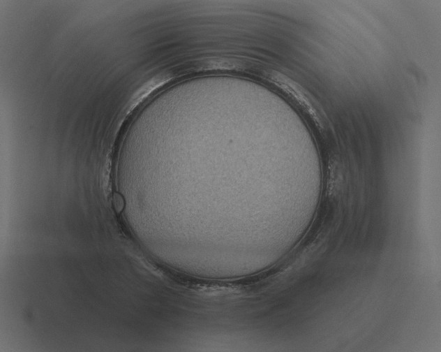 X0000116490786200912292104