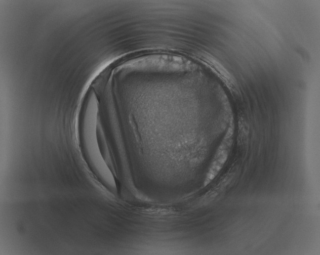 X0000116490788200912292104