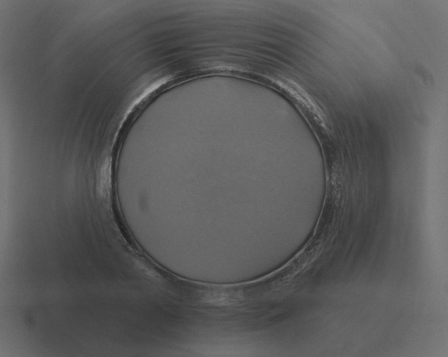 X0000116490790200912292104