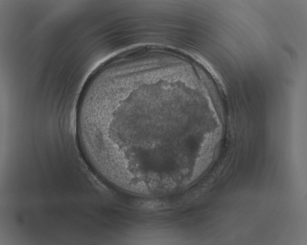 X0000116490791200912292104