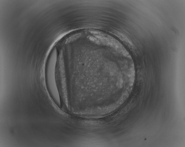 X0000116490792200912292104