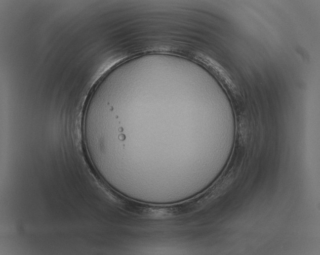 X0000116490794200912292104