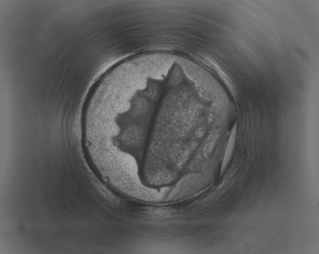 X0000116490795200912292104