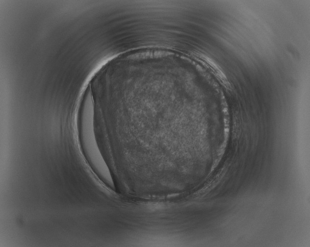 X0000116490796200912292104