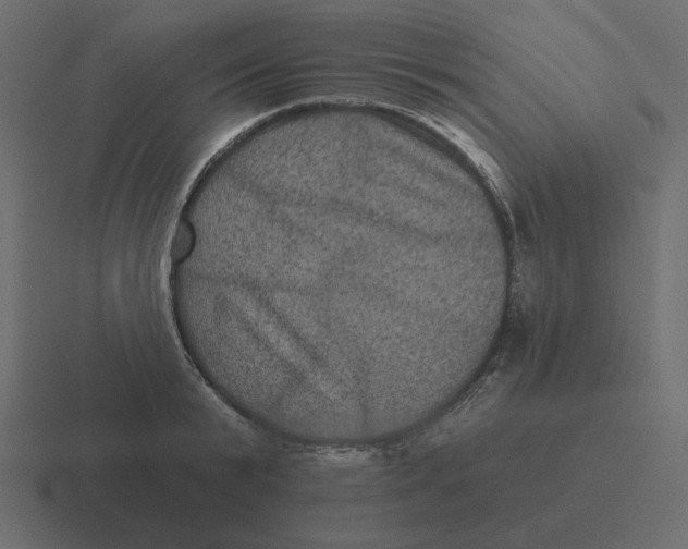 X0000116490799200912292104