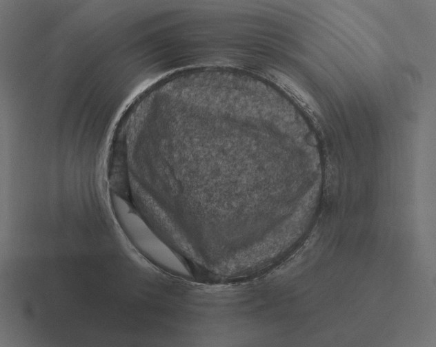 X0000116490800200912292104