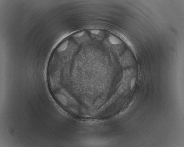 X0000116490803200912292104