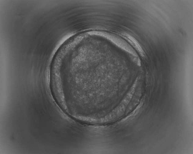 X0000116490804200912292104