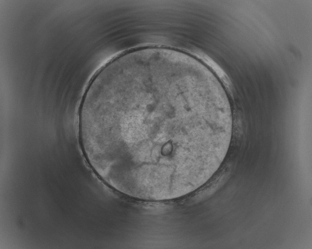 X0000116490807200912292104