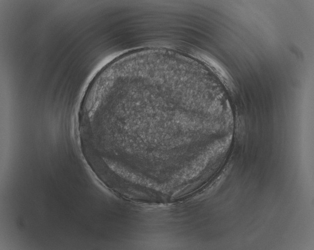 X0000116490808200912292104