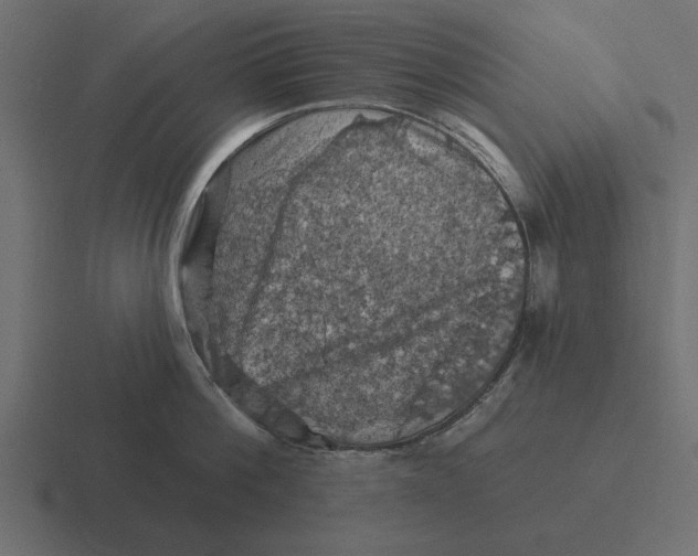 X0000116490812200912292104