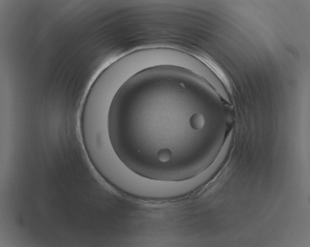 X0000116490813200912292104