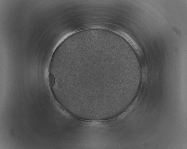 X0000116490814200912292104