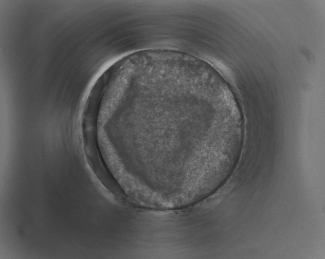 X0000116490816200912292104