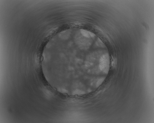 X0000116490819200912292103