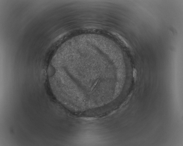 X0000116490821200912292103