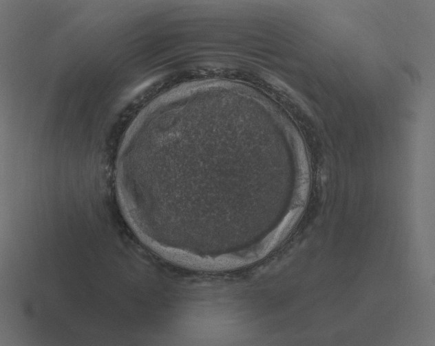 X0000116490822200912292103