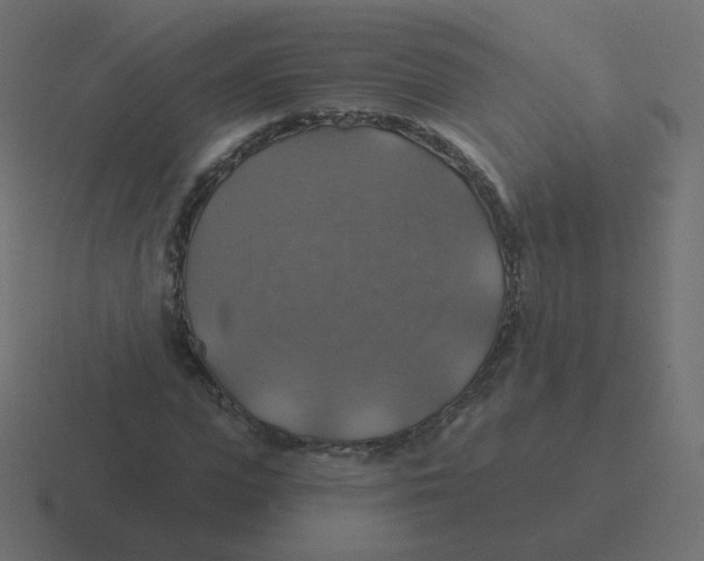 X0000116490823200912292104