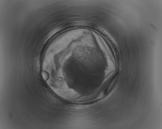 X0000116490829200912292104