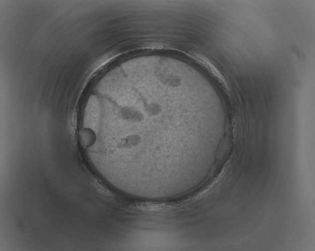 X0000116490831200912292104