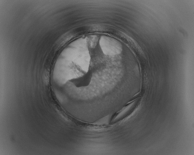 X0000116490833200912292104