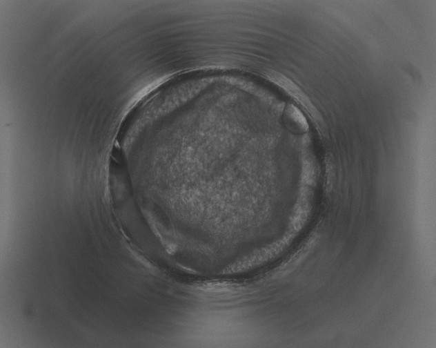 X0000116490834200912292104