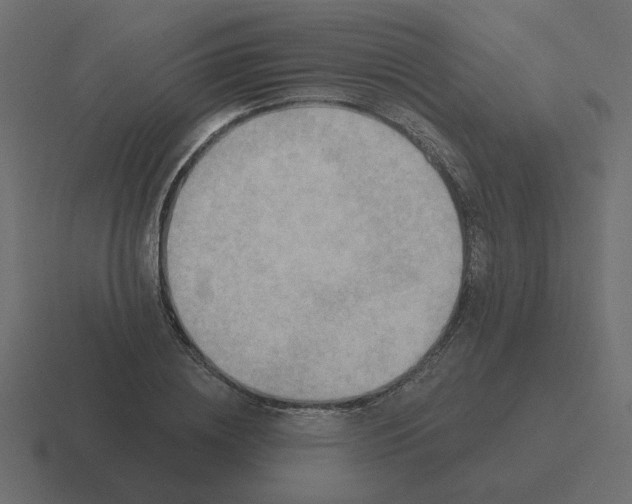 X0000116490836200912292104