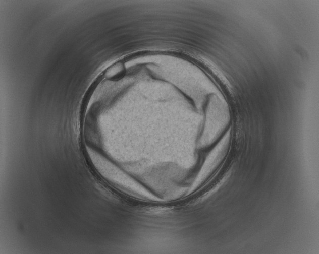 X0000116490837200912292104