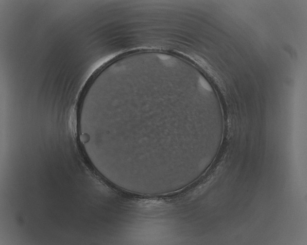 X0000116490838200912292104