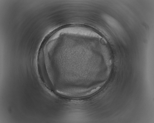 X0000116490840200912292104