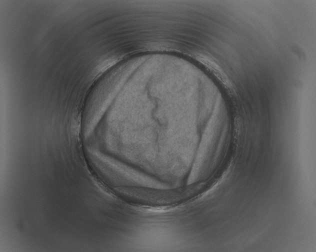 X0000116490841200912292104