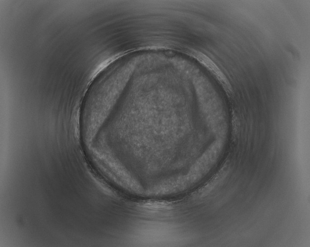 X0000116490842200912292104