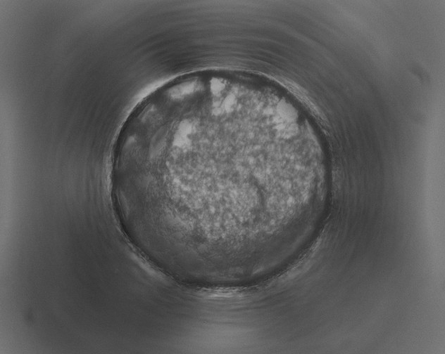 X0000116490846200912292104