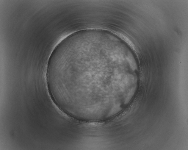 X0000116490847200912292104