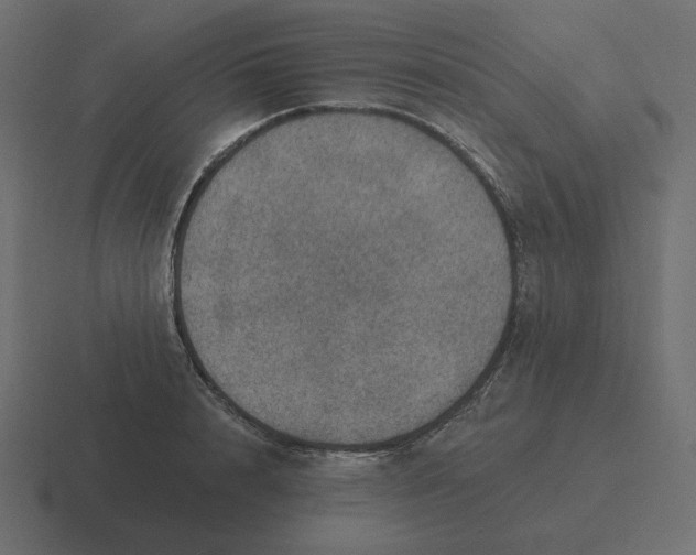 X0000116490848200912292104