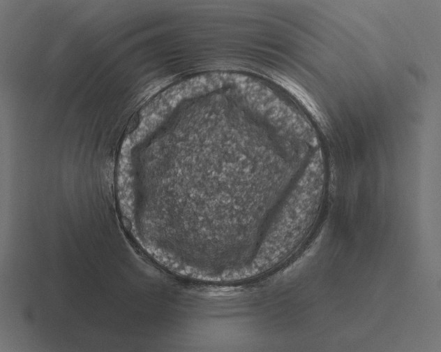 X0000116490849200912292104